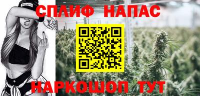 метадон Гатчина